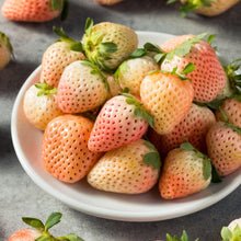 Load image into Gallery viewer, Flamingo Strawberry