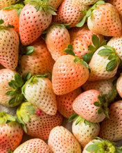 Load image into Gallery viewer, Flamingo Strawberry