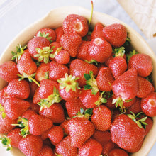 Load image into Gallery viewer, Seascape Strawberry