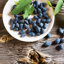 Load image into Gallery viewer, Boreal Beauty Honeyberry (Haskap)