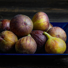 Load image into Gallery viewer, Chicago Hardy Fig