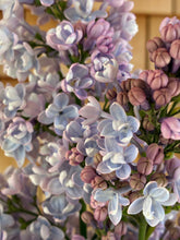 Load image into Gallery viewer, Katherine Havemeyer Lilac