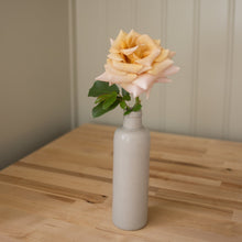 Load image into Gallery viewer, 'Honey Dijon' Rose (Bare Root)