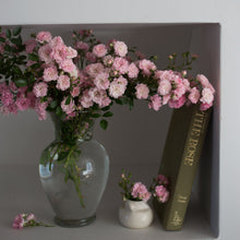 Load image into Gallery viewer, The Fairy Rose