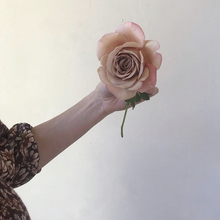 Load image into Gallery viewer, Koko Loko™ Rose