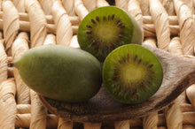 Load image into Gallery viewer, Geneva 3 Hardy Kiwi