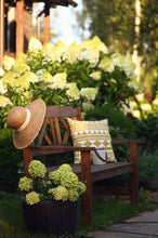 Load image into Gallery viewer, Little Lime® Panicle Hydrangea