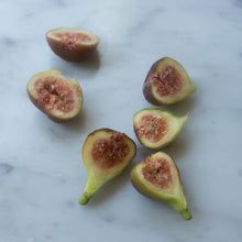Load image into Gallery viewer, Little Ruby Fig