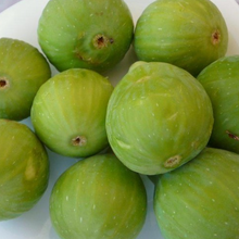 Load image into Gallery viewer, Pingo De Mel Fig