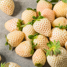 Load image into Gallery viewer, White Pineberry Strawberry